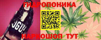 PSILOCYBIN Шахты