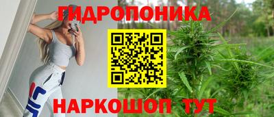 PSILOCYBIN Шахты
