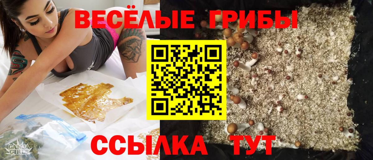 Псилоцибиновые грибы Magic Shrooms Буйнакск