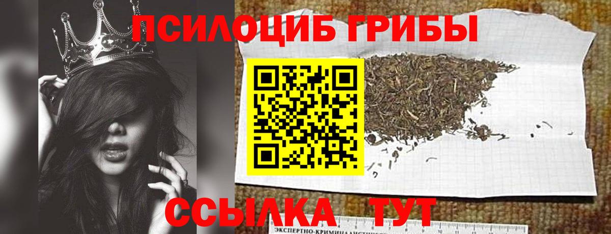 Галлюциногенные грибы мухоморы  Псилоцибиновые грибы GOLDEN TEACHER  где купить наркоту  Буйнакск  Вход с VPN 